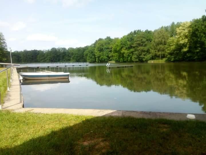 Pension Waldbad Dommitzsch 외부 사진